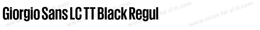 Giorgio Sans LC TT Black Regular字体转换